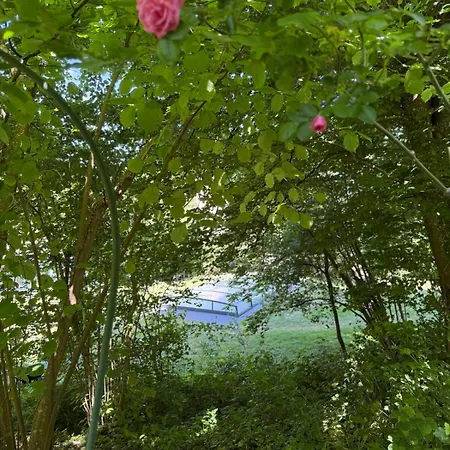펜션 Charming House With Pool And Private Forest *