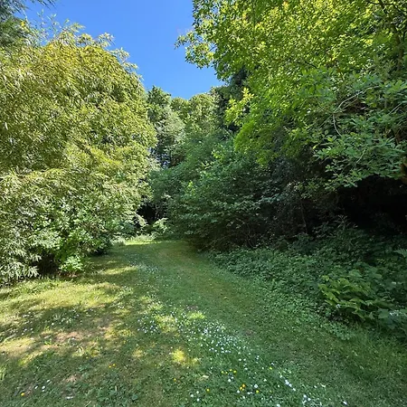 펜션 Charming House With Pool And Private Forest